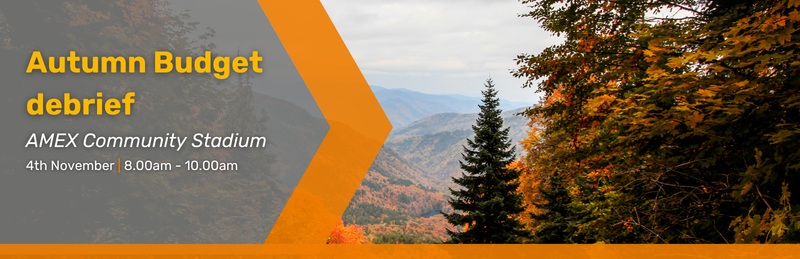 woodland forest with a view of mountains in autumn